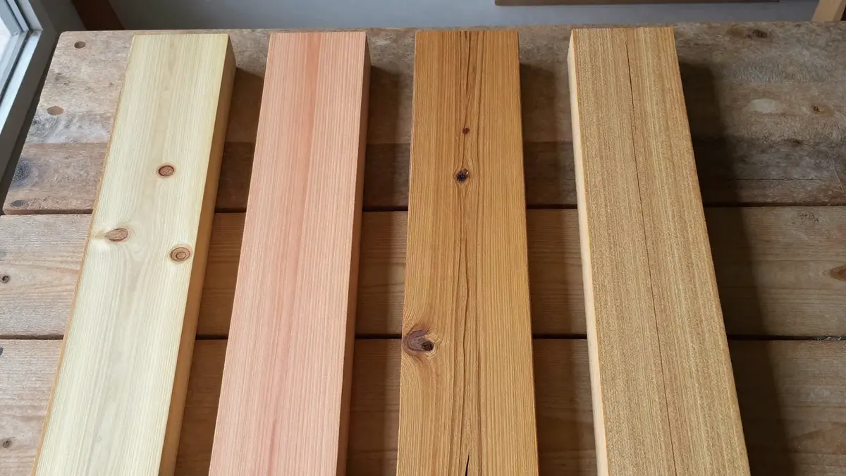 Quatre échantillons de bois de charpente posés côte à côte sur un établi : épicéa traité, douglas, mélèze et chêne